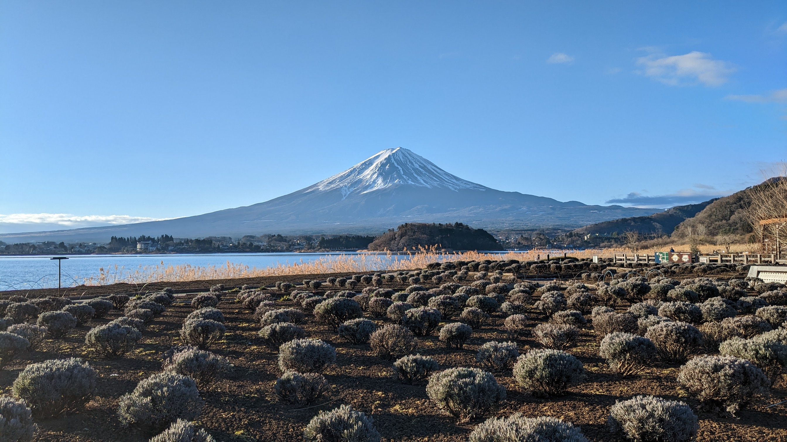 1月31日の富士山