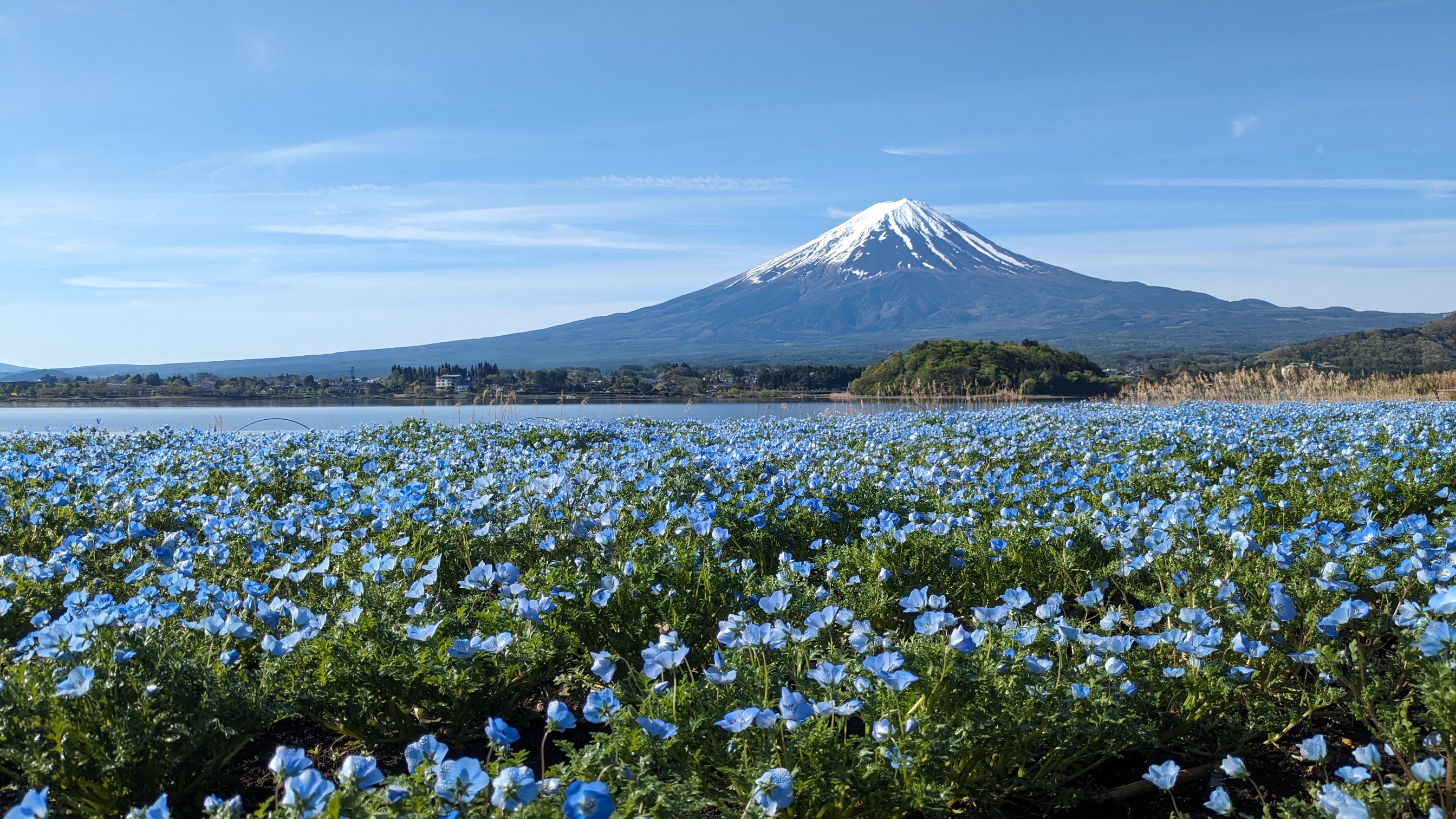 4月26日の富士山