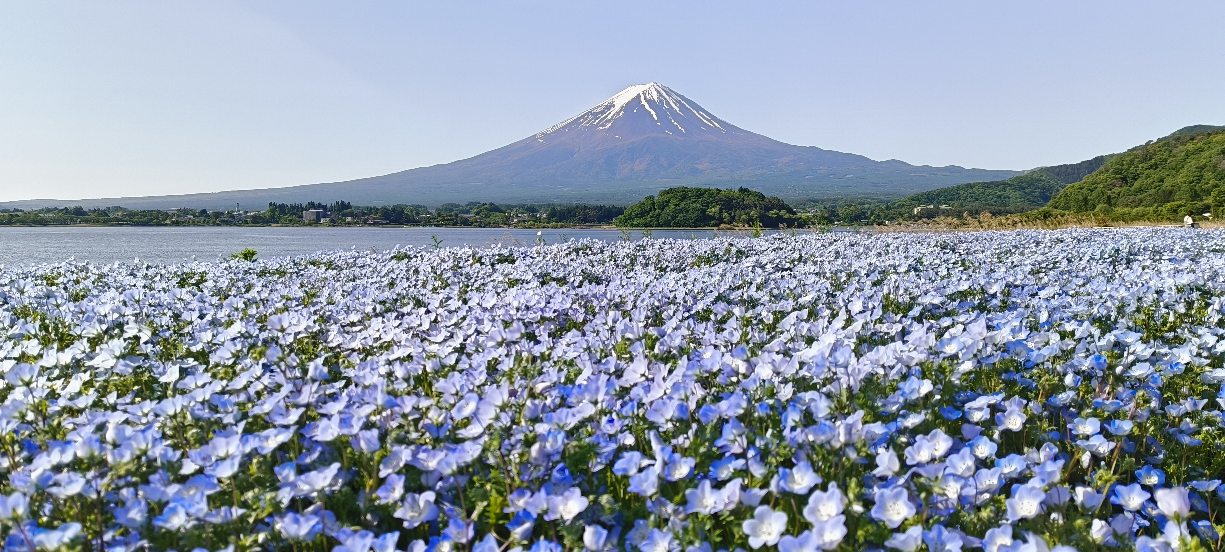 5月17日の富士山