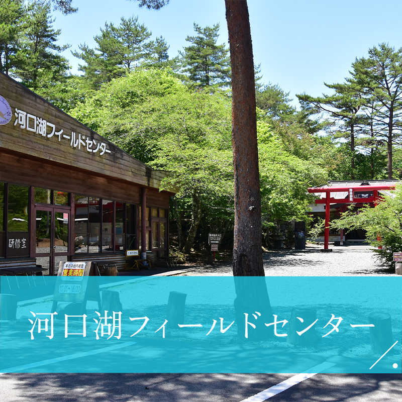 河口湖フィールドセンター