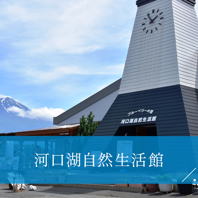河口湖自然生活館 