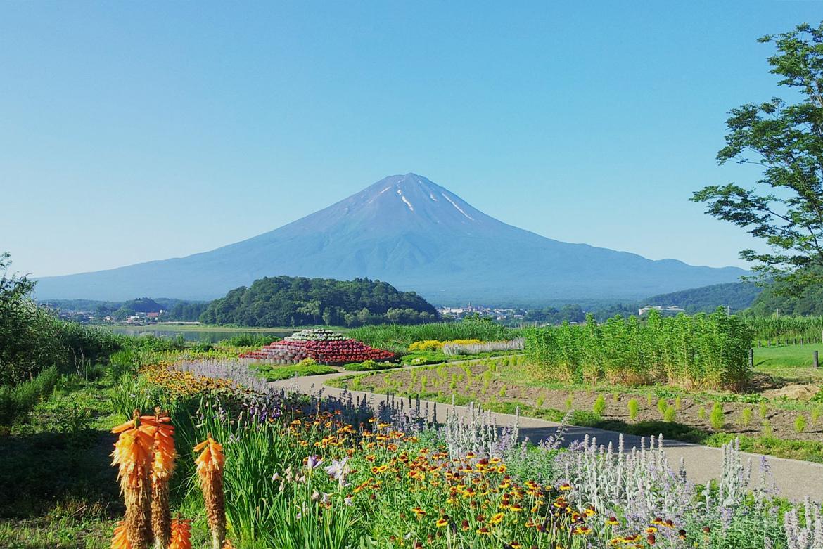 富士山絶景（大石公園）