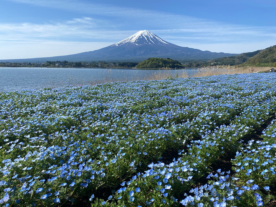 大石公園