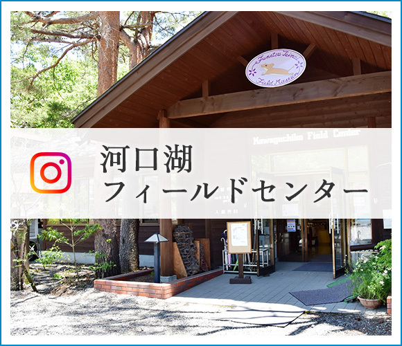 河口湖フィールドセンターInstagram