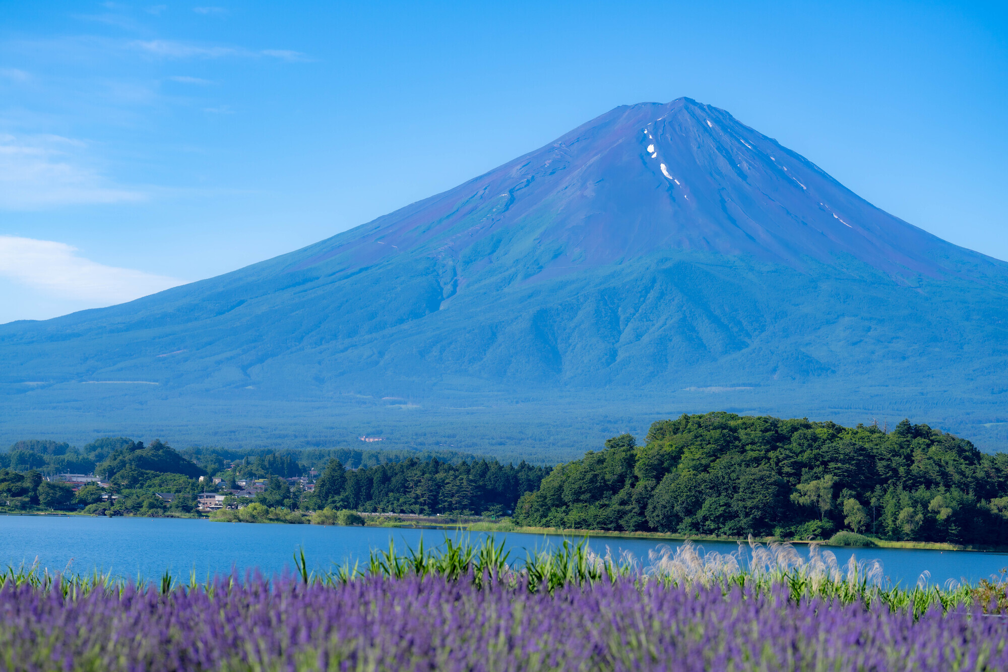 富士河口湖町観光情報