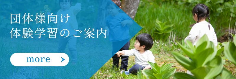 各体験についての詳細はこちら