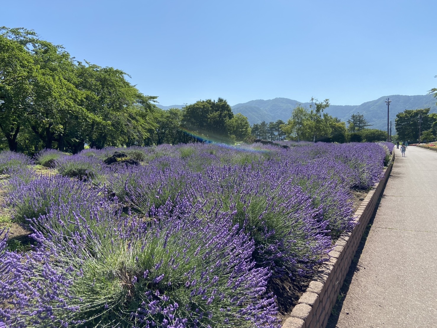 八木崎公園