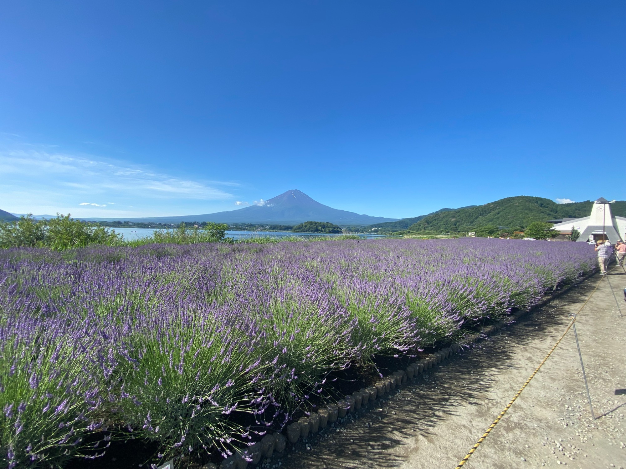 富士山絶景（大石公園）