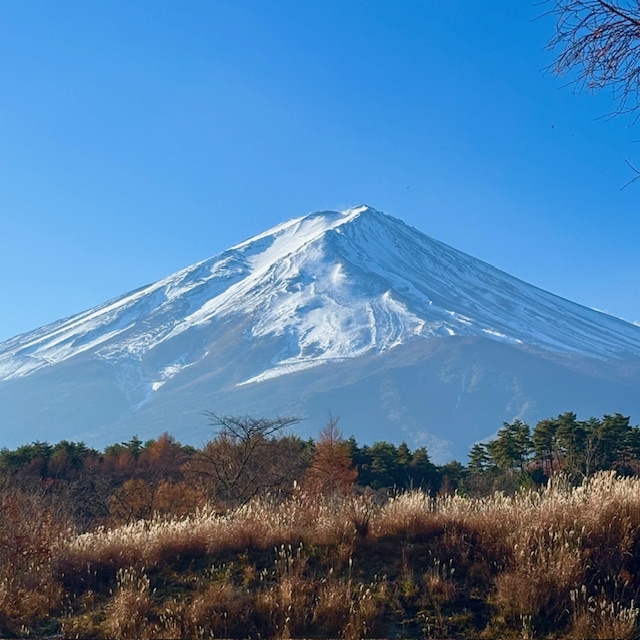 2月の営業のお知らせ