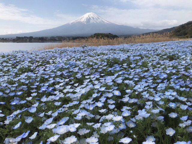 大石公園