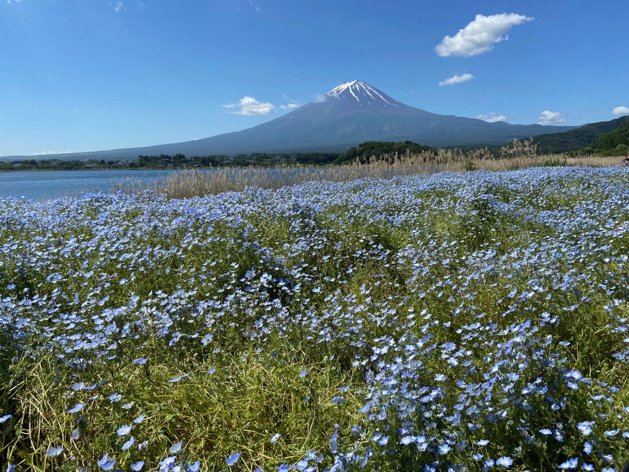 富士山の見えるカフェ