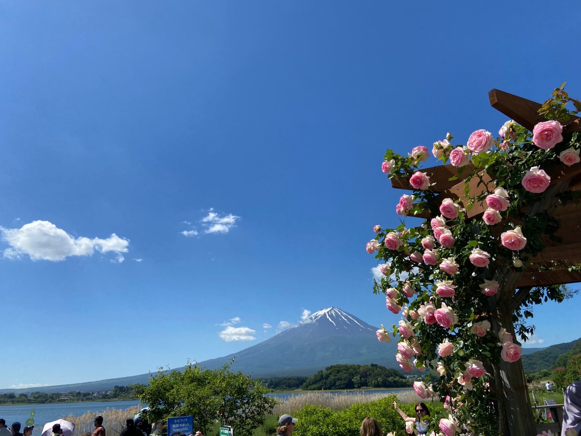 富士山の見えるカフェ