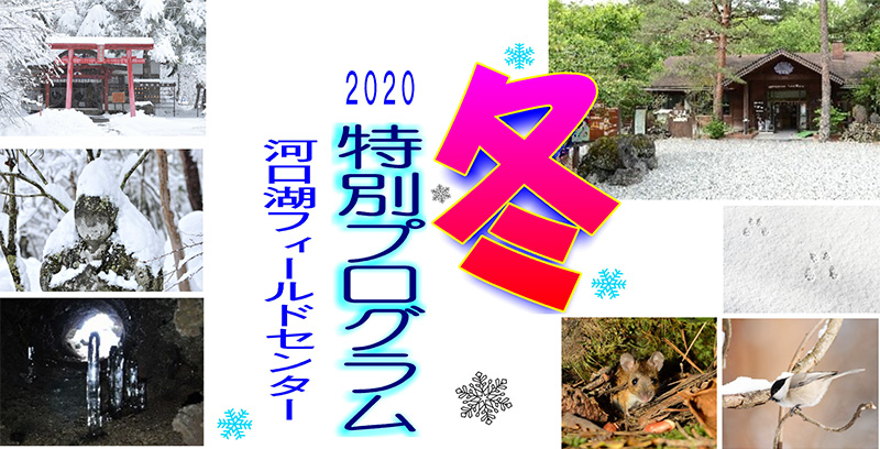 2020冬 特別プログラム