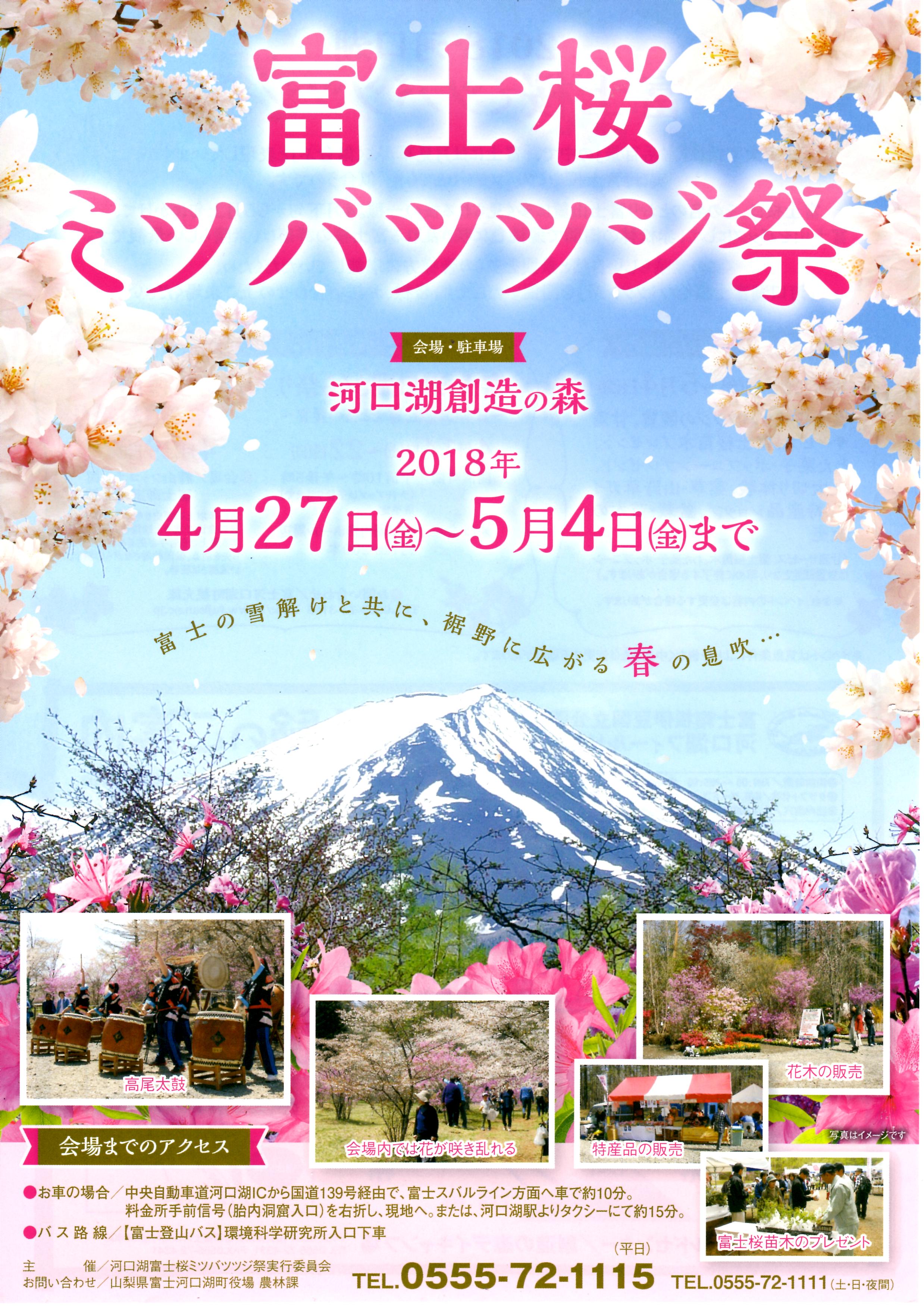 富士桜・ミツバツツジ祭り