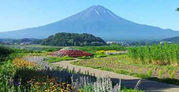 河口湖自然生活館 富士山絶景