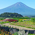 河口湖自然生活館 富士山絶景