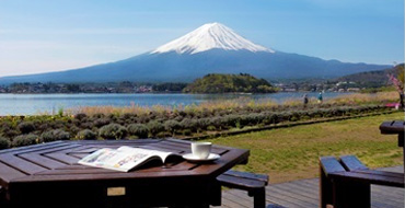 河口湖自然生活館 富士山の見えるカフェ